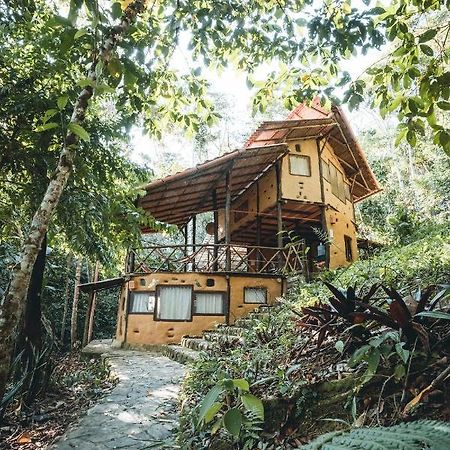 Chirapa Manta Amazon Lodge Lamas Εξωτερικό φωτογραφία