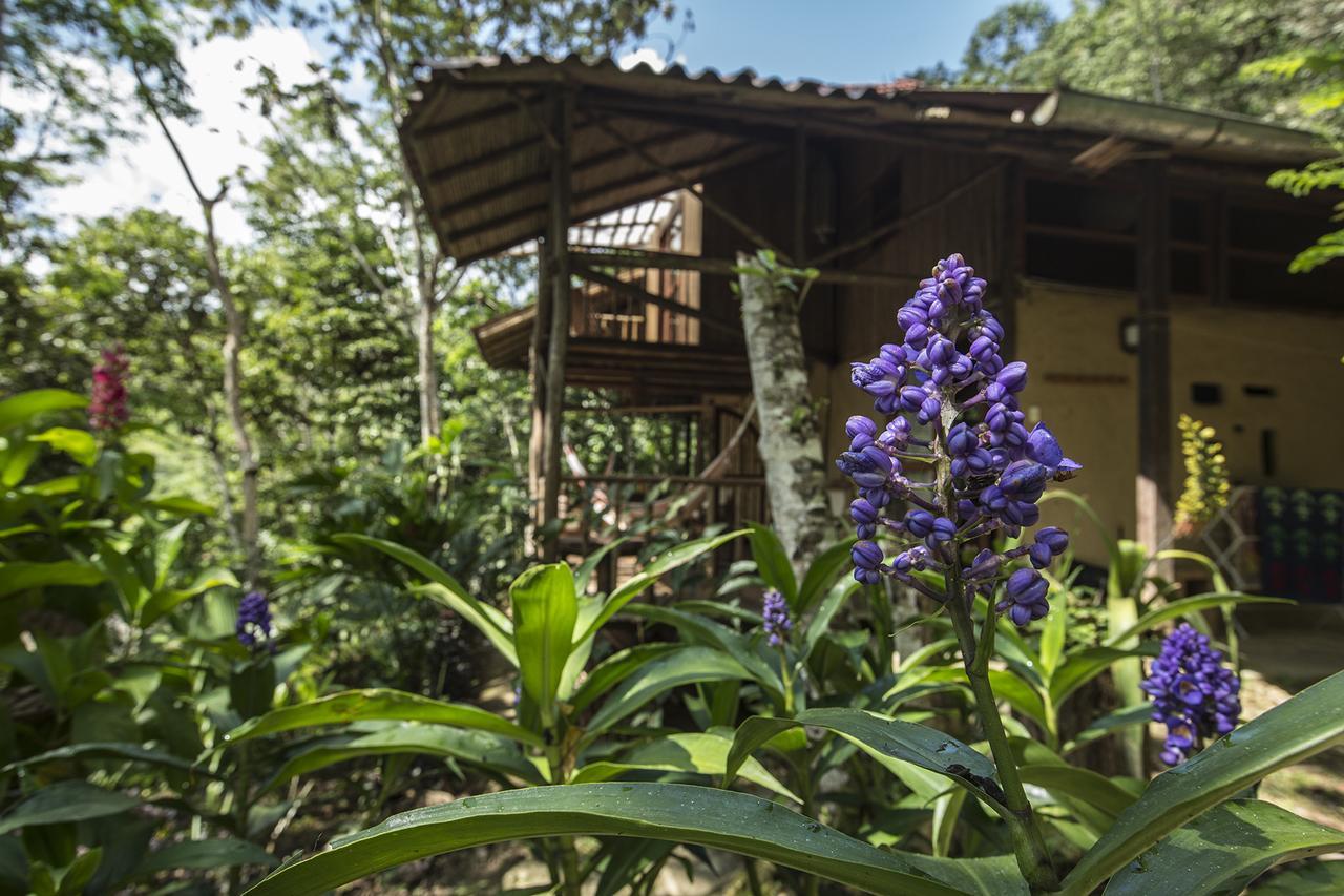 Chirapa Manta Amazon Lodge Lamas Εξωτερικό φωτογραφία