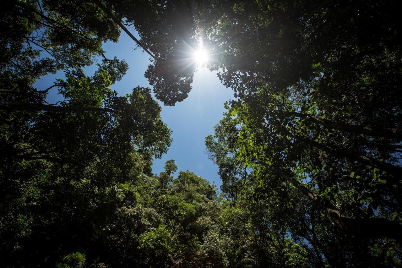 Chirapa Manta Amazon Lodge Lamas Εξωτερικό φωτογραφία