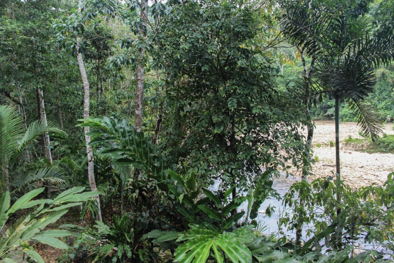 Chirapa Manta Amazon Lodge Lamas Εξωτερικό φωτογραφία