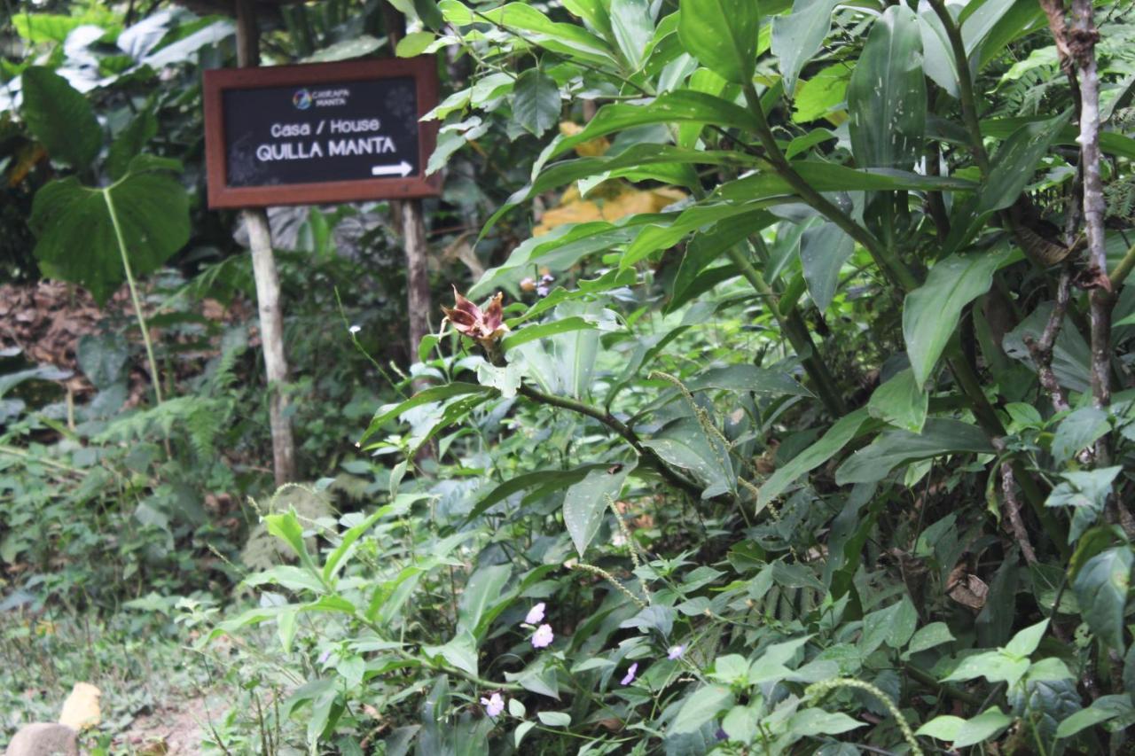 Chirapa Manta Amazon Lodge Lamas Εξωτερικό φωτογραφία